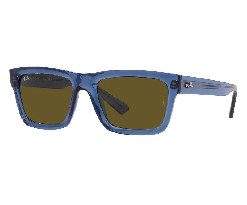 Mirrored polarized sunglasses-WARREN 4396 6680/73 54